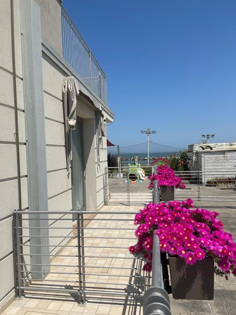 Hotel & Residence Cavalluccio Marino Rimini Exterior foto